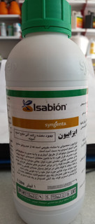 اسید آمینه ایزابیون