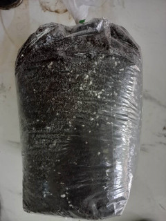 کود (خاک) برگ آماده (بستهبندی 9.5 کیلوگرمی)